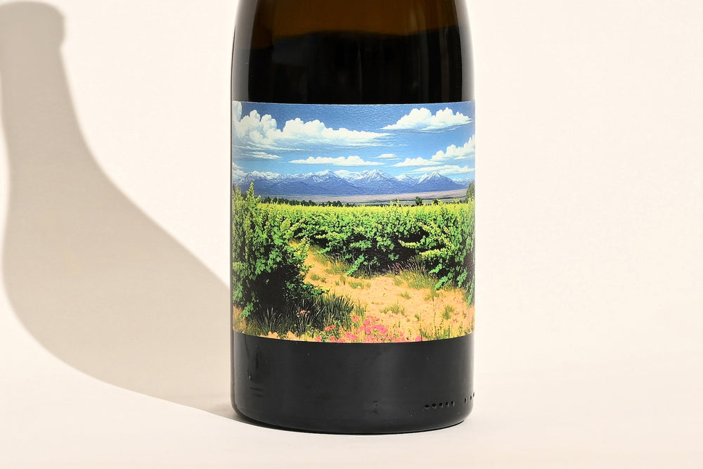 Close-up of Swick Wines 2022 Grenache Noir Sonrisa bottle label featuring painted vineyard landscape with mountains and blue sky on dark glass