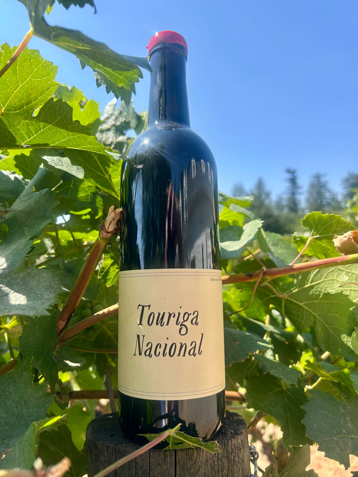 2022 Touriga Nacional